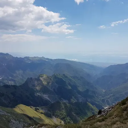 Tripala